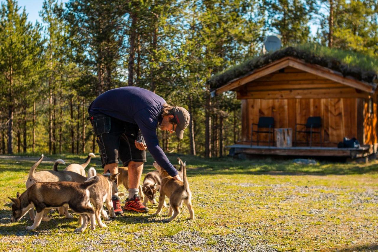 Jotunheimen Husky Lodge Randsverk 외부 사진
