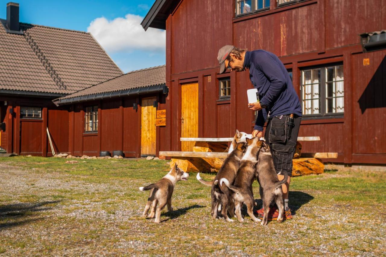 Jotunheimen Husky Lodge Randsverk 외부 사진